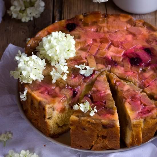 Rhubarb and Marzipan Cake