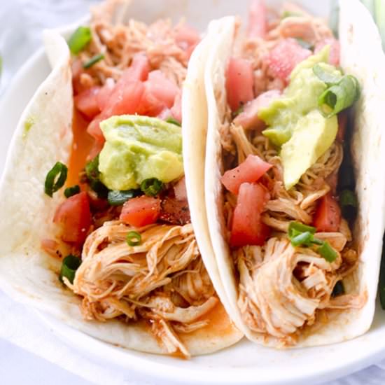 Shredded Chicken Tacos