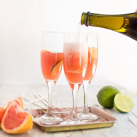 Paloma Mimosas