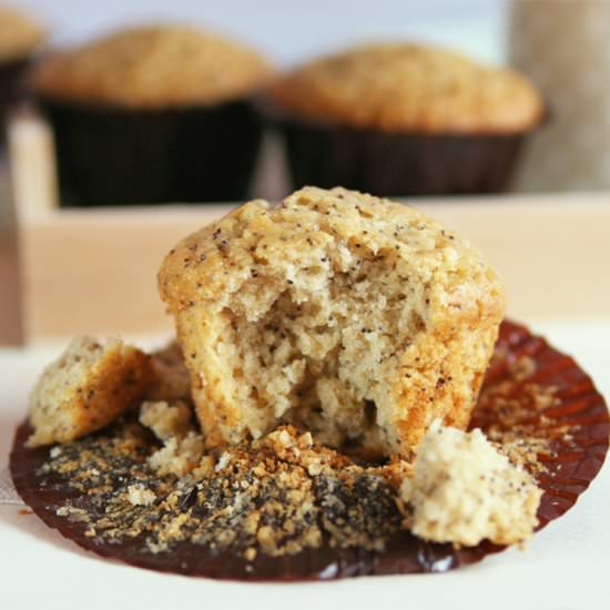 Lemon Popyyseed Muffins