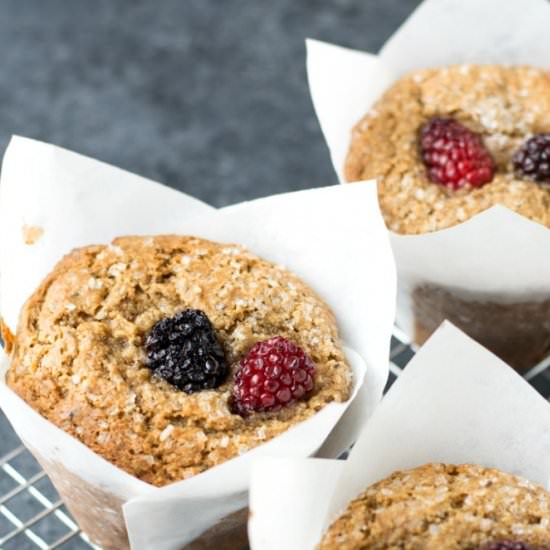Blackberry Breakfast Muffins