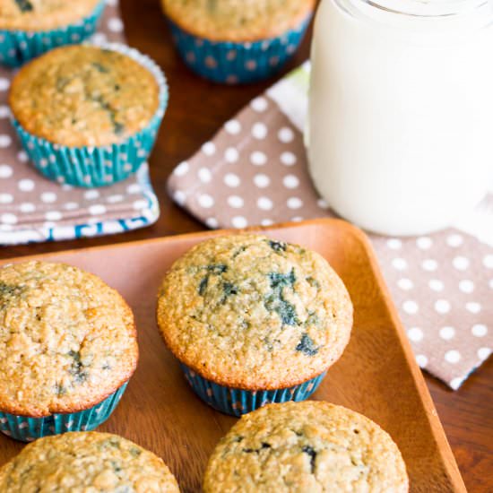 Skinny Blueberry Oatmeal Muffins