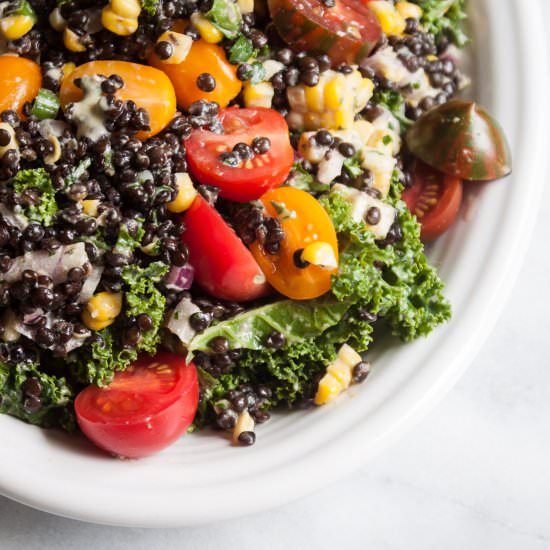 Sweet Corn + Beluga Lentil Salad