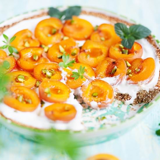 Greek Apricot Quinoa Tart