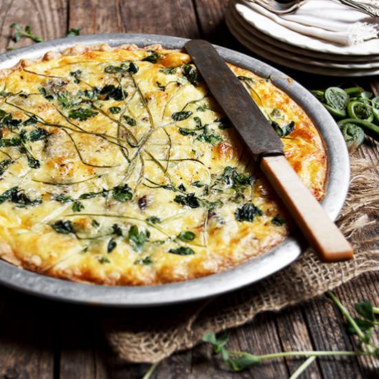 Fiddlehead Quiche
