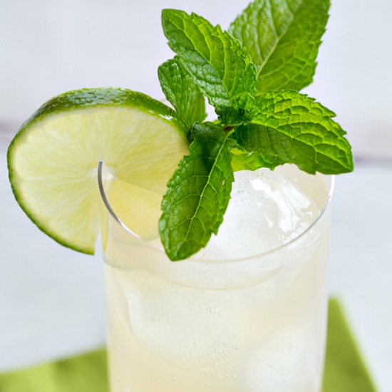 Mayan Mule