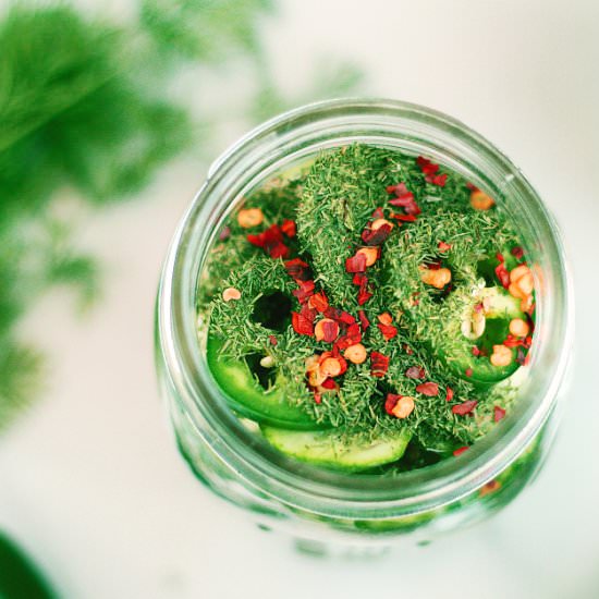Spicy Dill Pickles