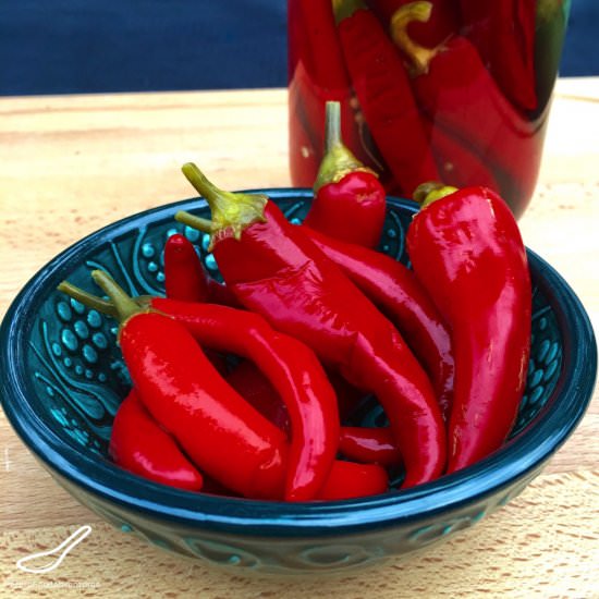 Quick Pickled Chilies