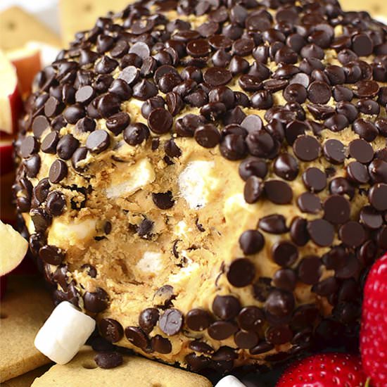 Peanut Butter S’Mores Cheesecake Ba