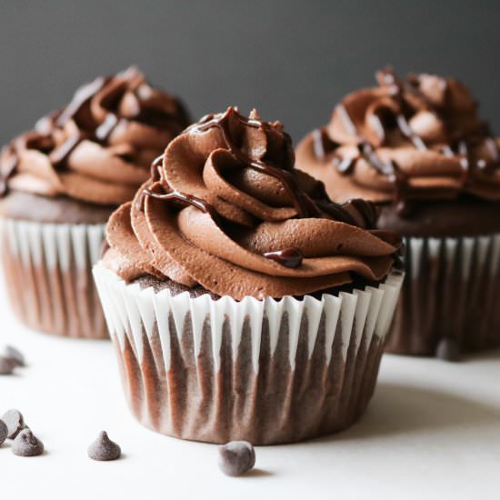 Chocolate Cupcakes