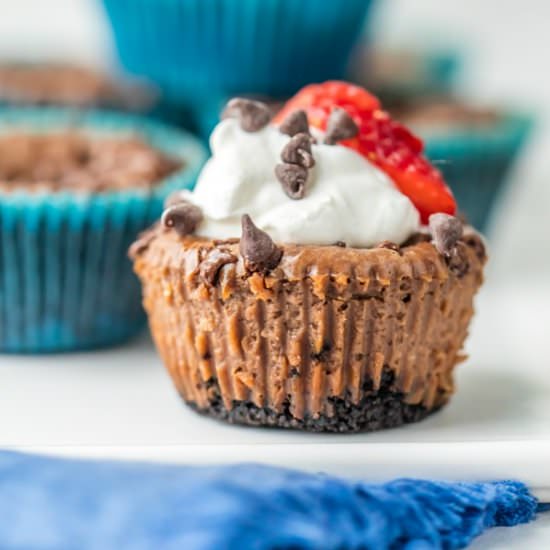 Mini Nutella Cheesecakes