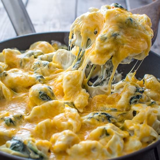 CREAMY SPINACH TORTELLINI