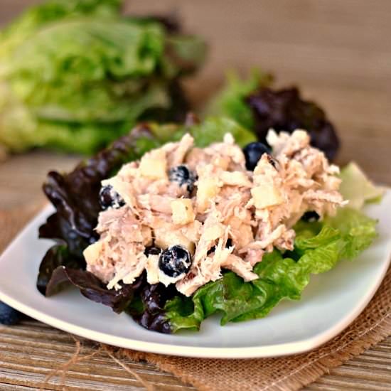 Blueberry Chicken Salad