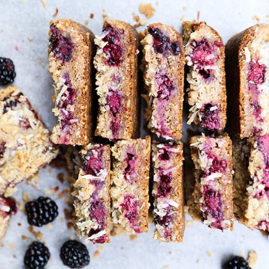 Blackberry Squares