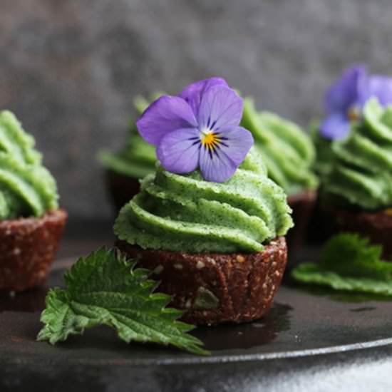 Raw Chocolate Cupcakes