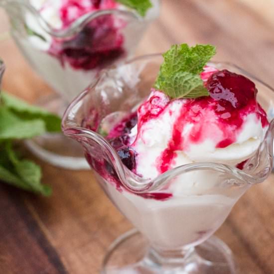 Egg-Free Mint Gelato