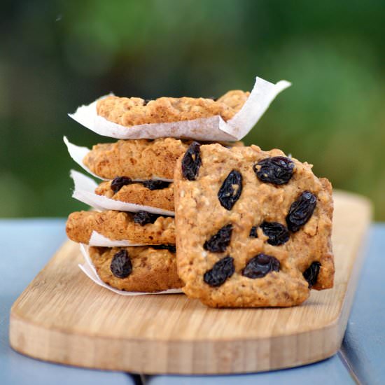 Soft Baked Oatmeal Cookie Bars