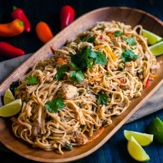 Spicy Peanut Chicken Udon Salad