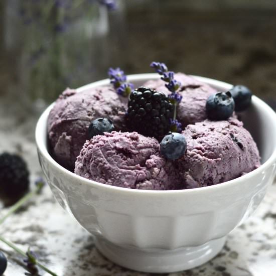 Double Berry Coconut Ice Cream