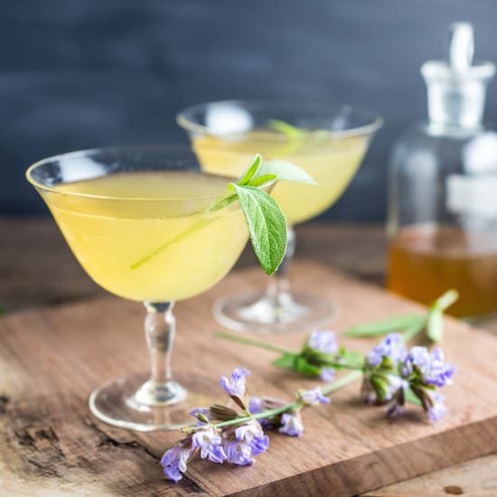 The Pollinator aka Sage Bee’s Knees