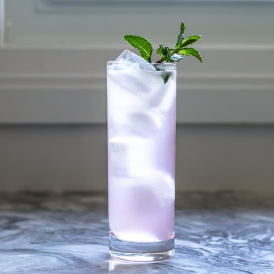 Lavender Collins