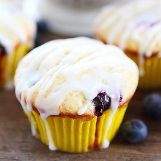 Lemon Blueberry Muffins