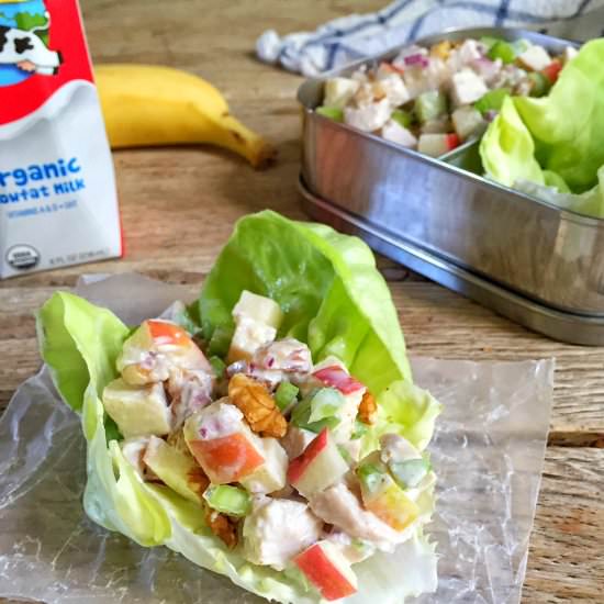 Chicken Salad in Lettuce Cups