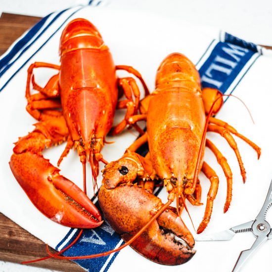 How to Cook a Lobster