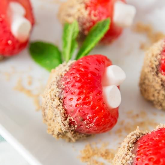 S’mores Stuffed Strawberries