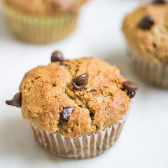 Banana Chocolate Chip Muffins