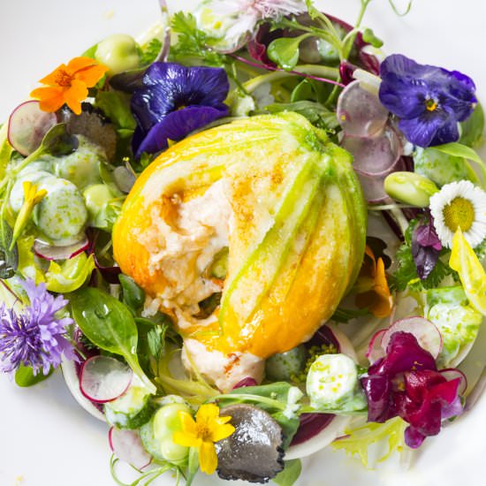 Stuffed courgette flowers