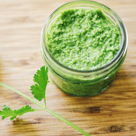 The Most Delicious Cilantro Pesto
