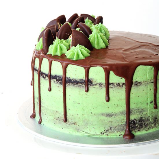 Mint Chocolate Layer Cake