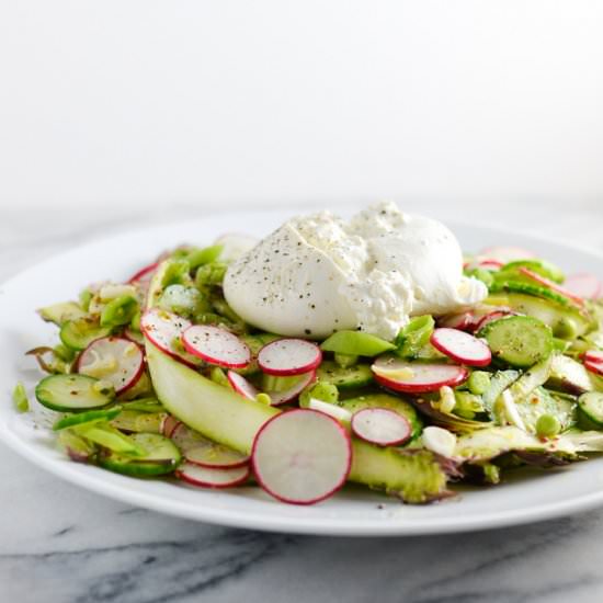 Fresh Spring & Summer Salad
