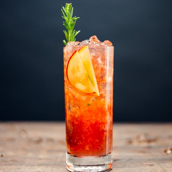 Conquistador’s Tonic with Plymouth