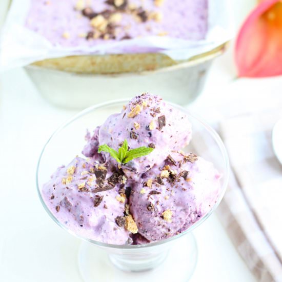Blueberry Cheesecake Frozen Yogurt
