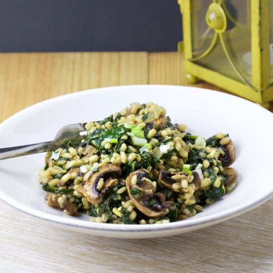 Barley Risotto with Mushroom