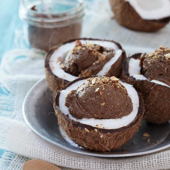Chocolate Coconut Avocado Ice Cream