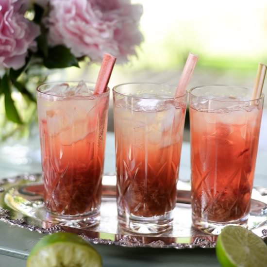 Strawberry Rhubarb Cocktail