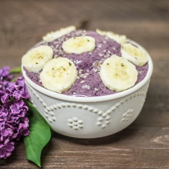 Blueberry Banana Ice Cream