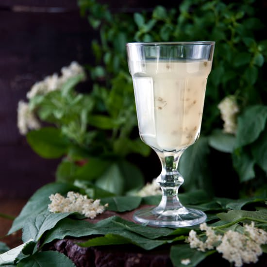 Elderflower jelly pudding
