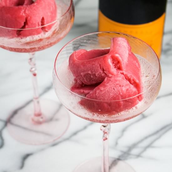 Rhubarb Campari Sorbet