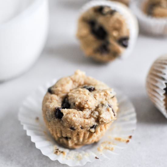 Chocolate Chip Muffins