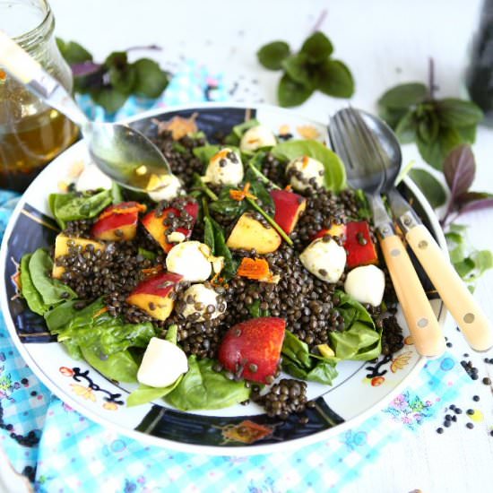 Beluga Lentil Zottarella Salad