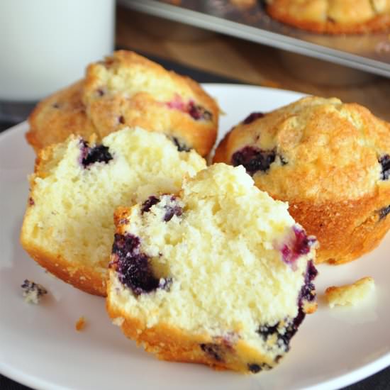 The Best Blueberry Muffins