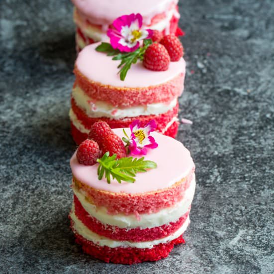 Pink Ombre Rhubarb Cakes