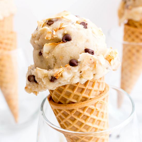 Coconut Chocolate Chip Nice Cream