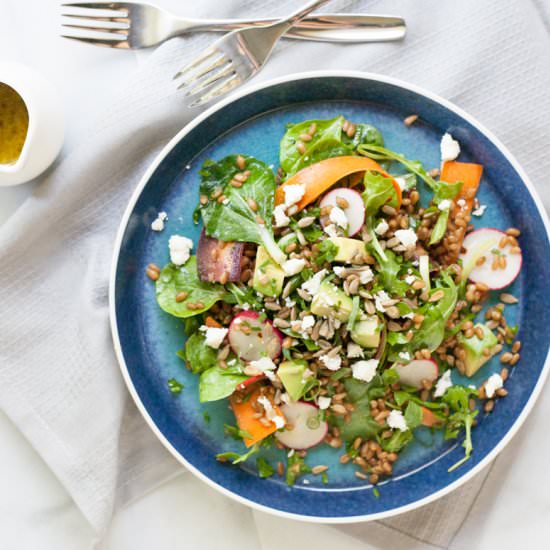 Carrot Radish and Wheat Berry Salad