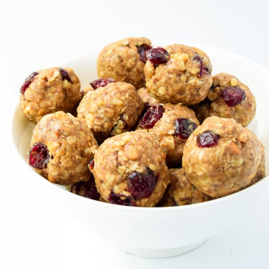 Nutty Oatmeal Cranberry Energy Bite