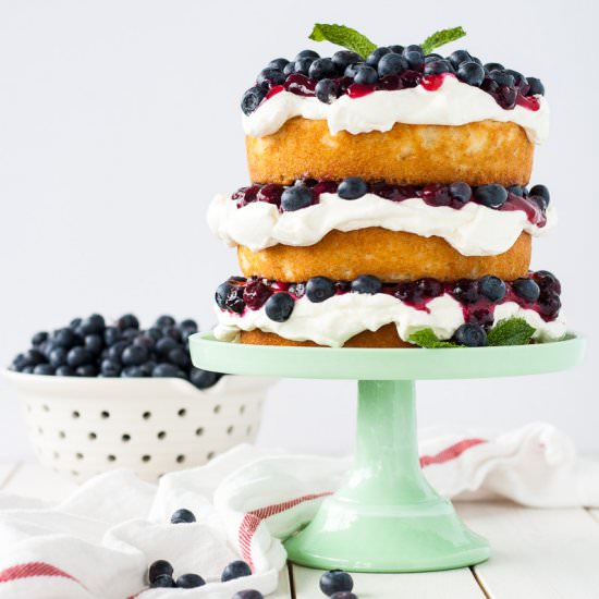 Blueberry Shortcake